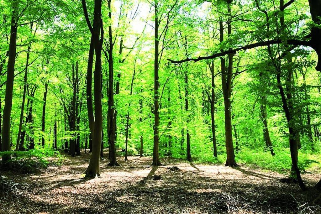 Ostsee-Ferienwohnung Uhlnüst Graal-Müritz Gelbensande Exterior foto